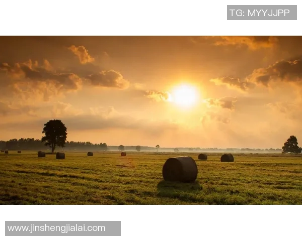 布莱恩兄弟的音乐旅程与心灵共鸣探索之路