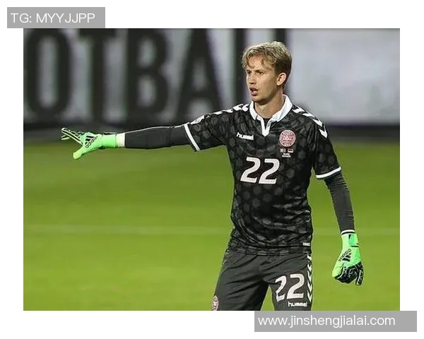 法国与丹麦对决盘口解析及投注建议分析