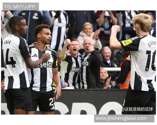 热刺宣布签下纽卡斯尔前锋，加强进攻实力