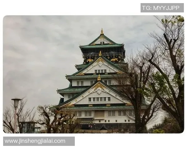 探索大阪飞脚的魅力与技艺传承，感受日本武道的独特魅力与文化底蕴