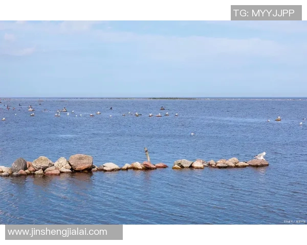 探索阿拉巴的魅力与神秘：文化历史与自然风光的完美交融之旅