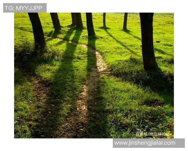 贾楠的成长之路:从平凡到卓越的奋斗故事与人生启示 贾楠的成长之路:从平凡到卓越的奋斗故事与人生启示